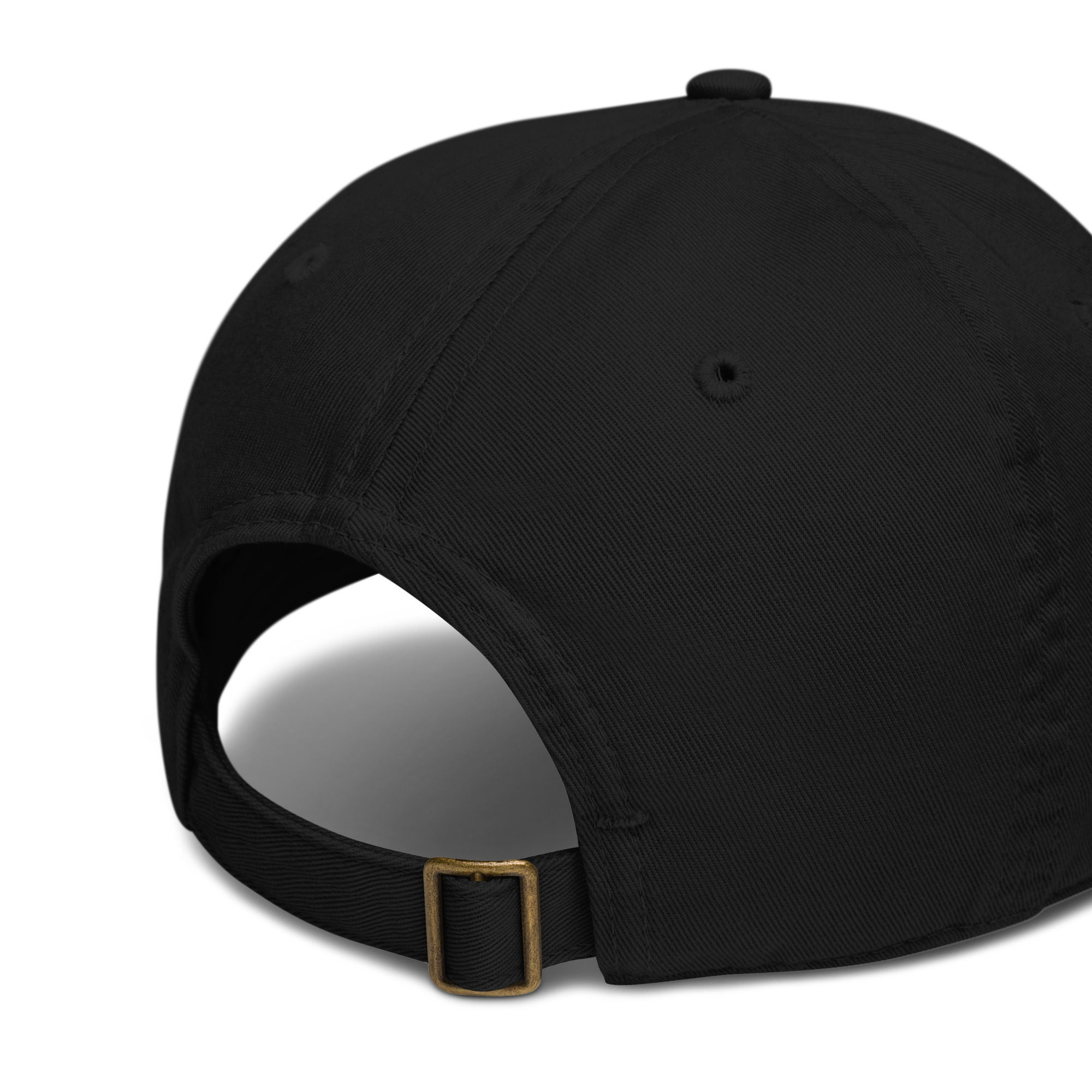 Wraith Coursers – Organic dad hat - Image 5